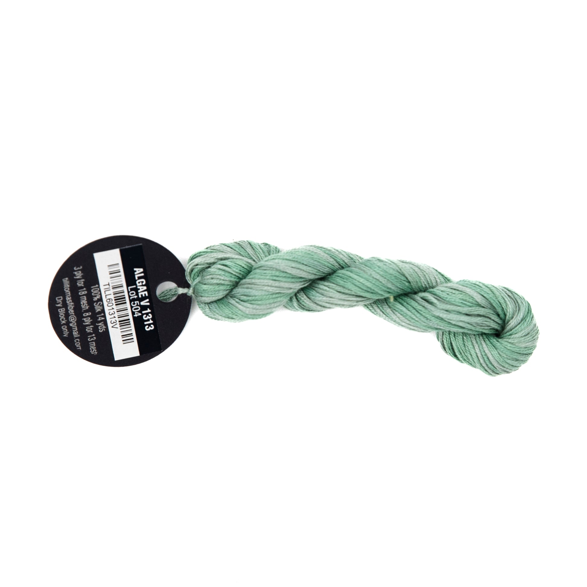 Planet Earth Silk Ply Variegated 1313V Algae