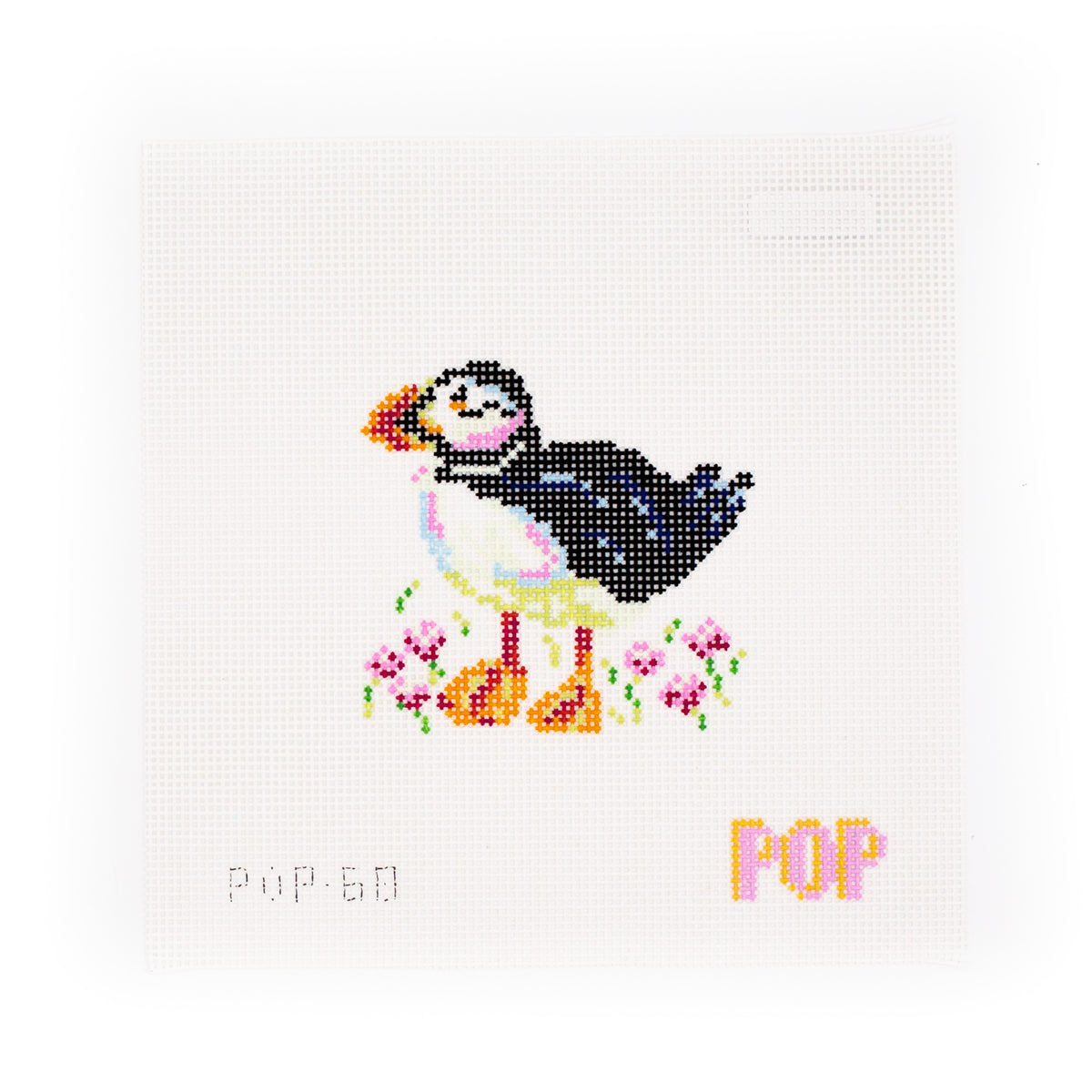 Colorful Puffin