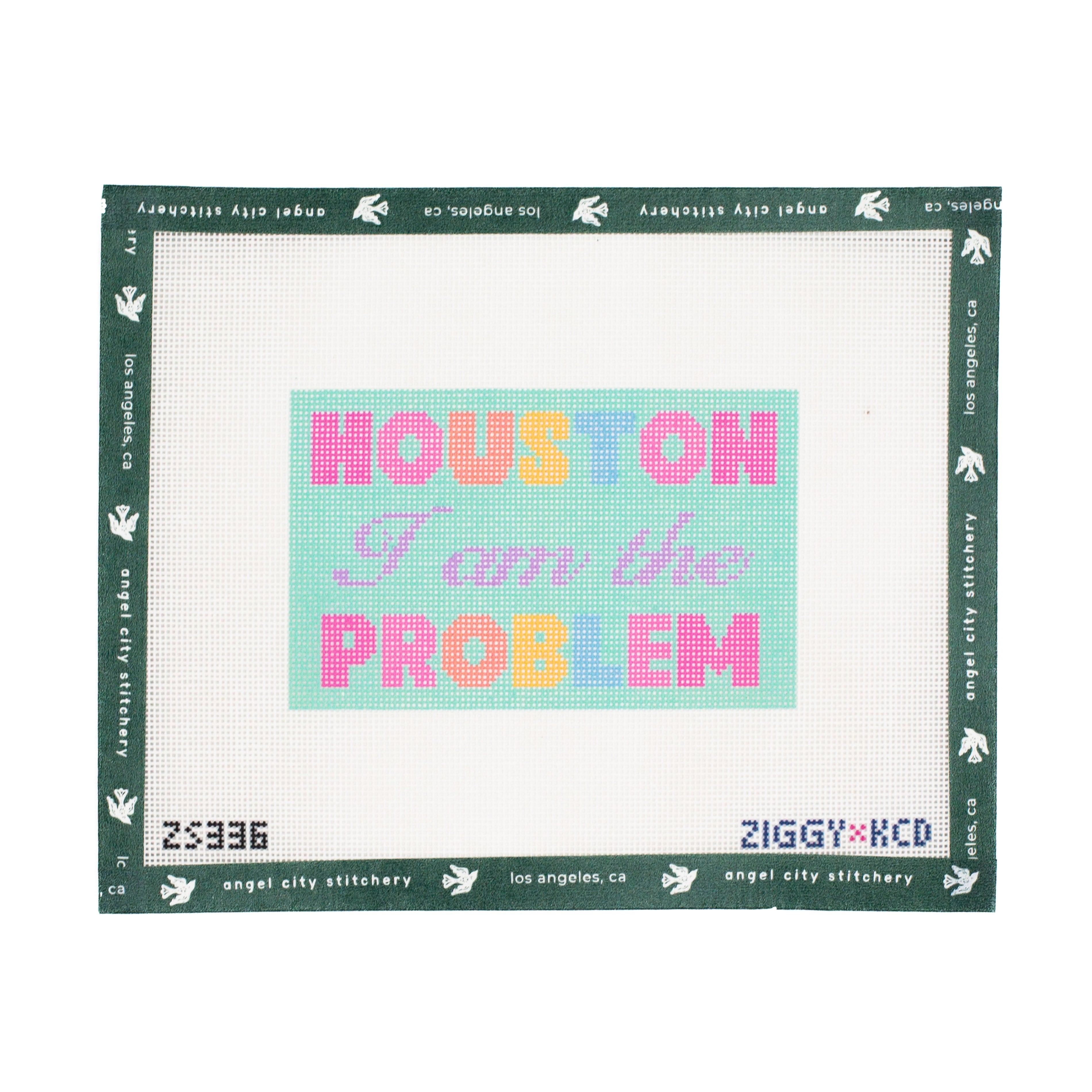 Houston I Am the Problem