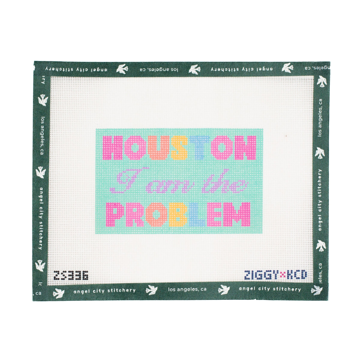 Houston I Am the Problem