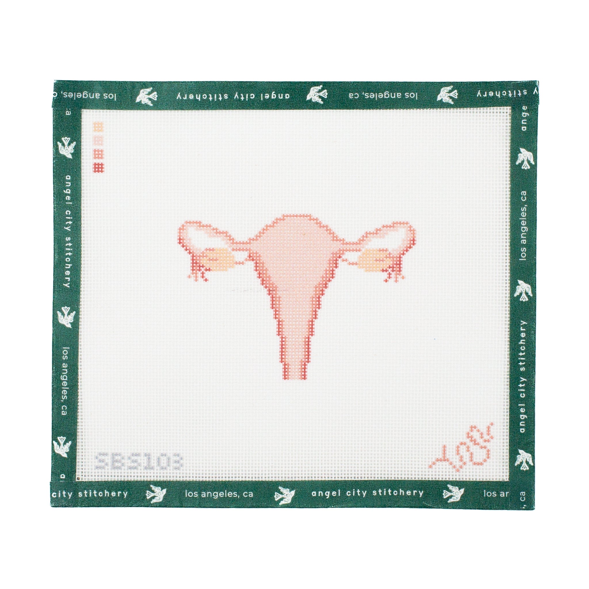 Uterus Human (Anatomy Series)