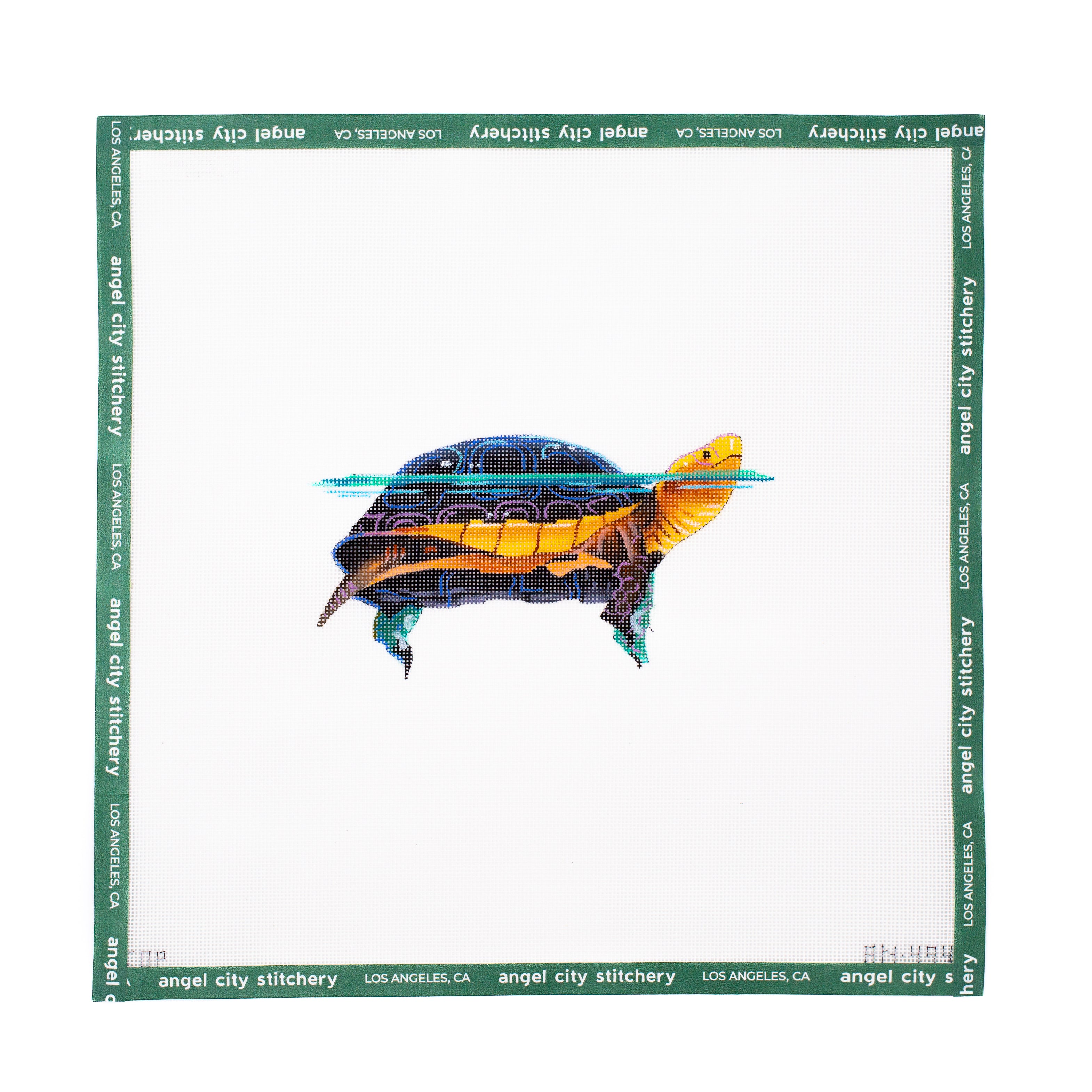 Turtle Swimming (AN494)