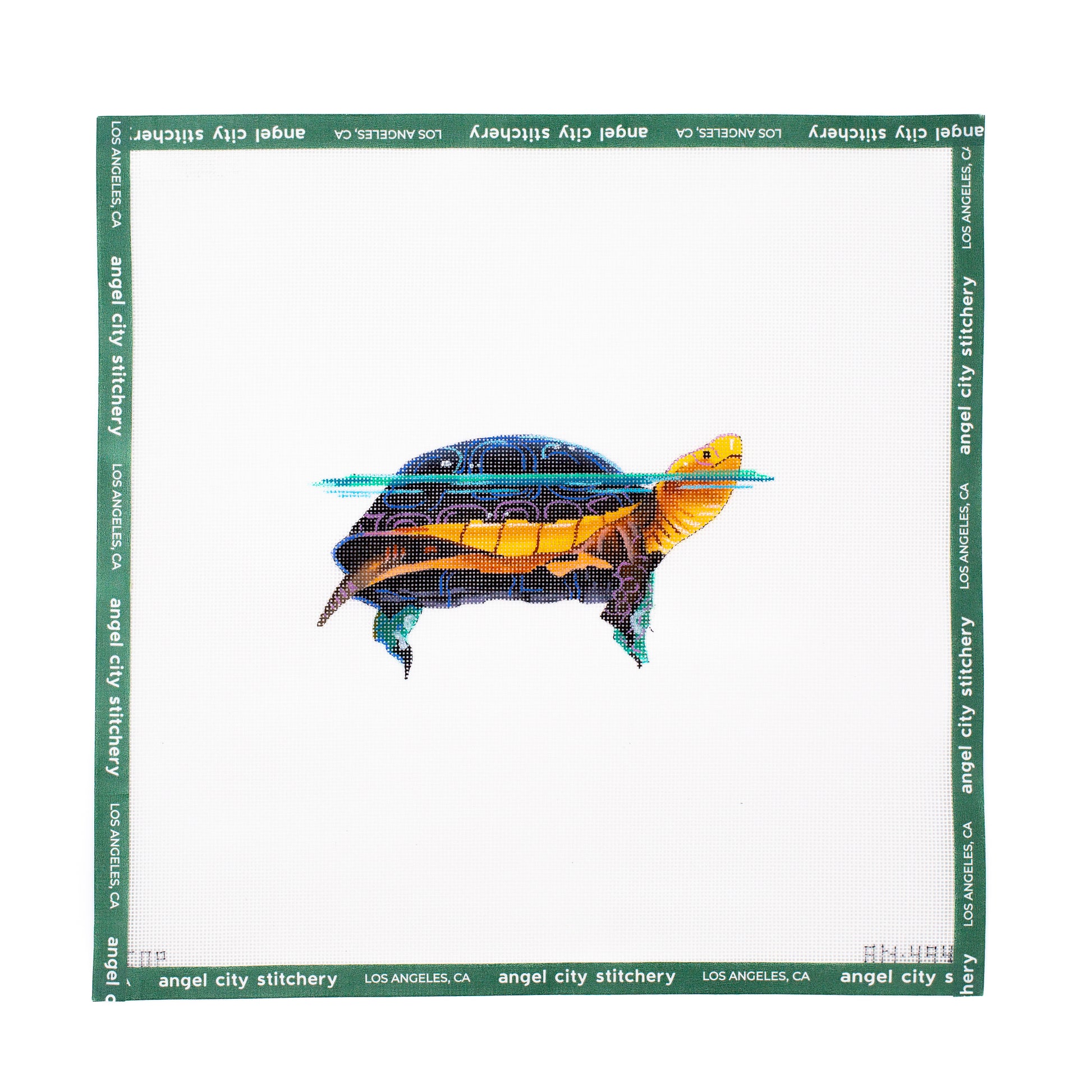 Turtle Swimming (AN494)