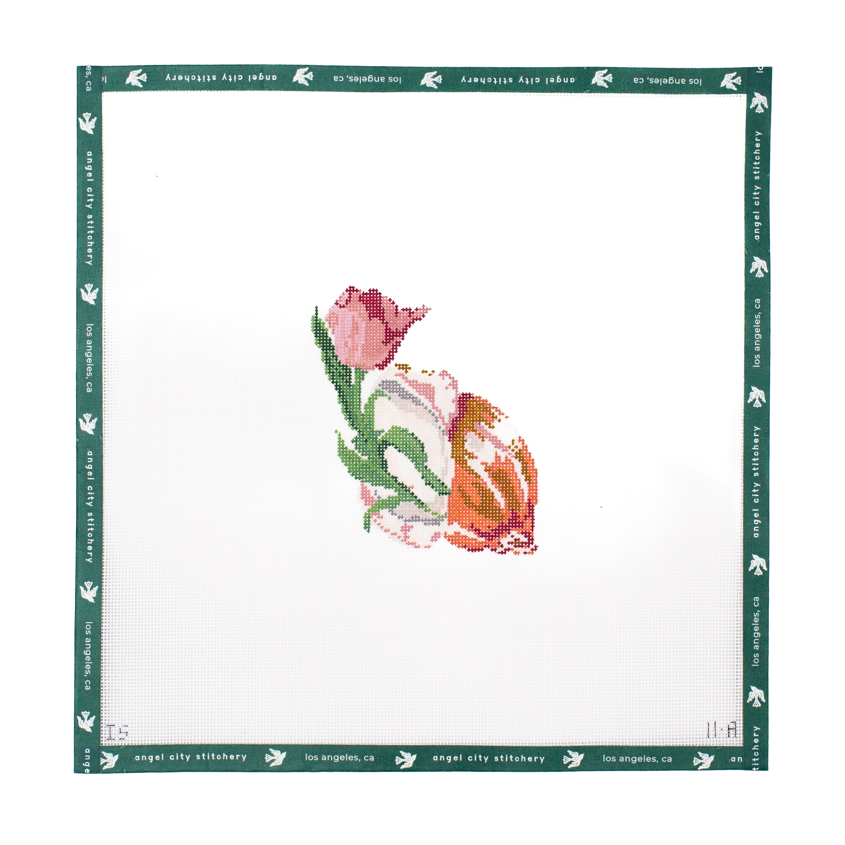 Tulip (Shell Series)