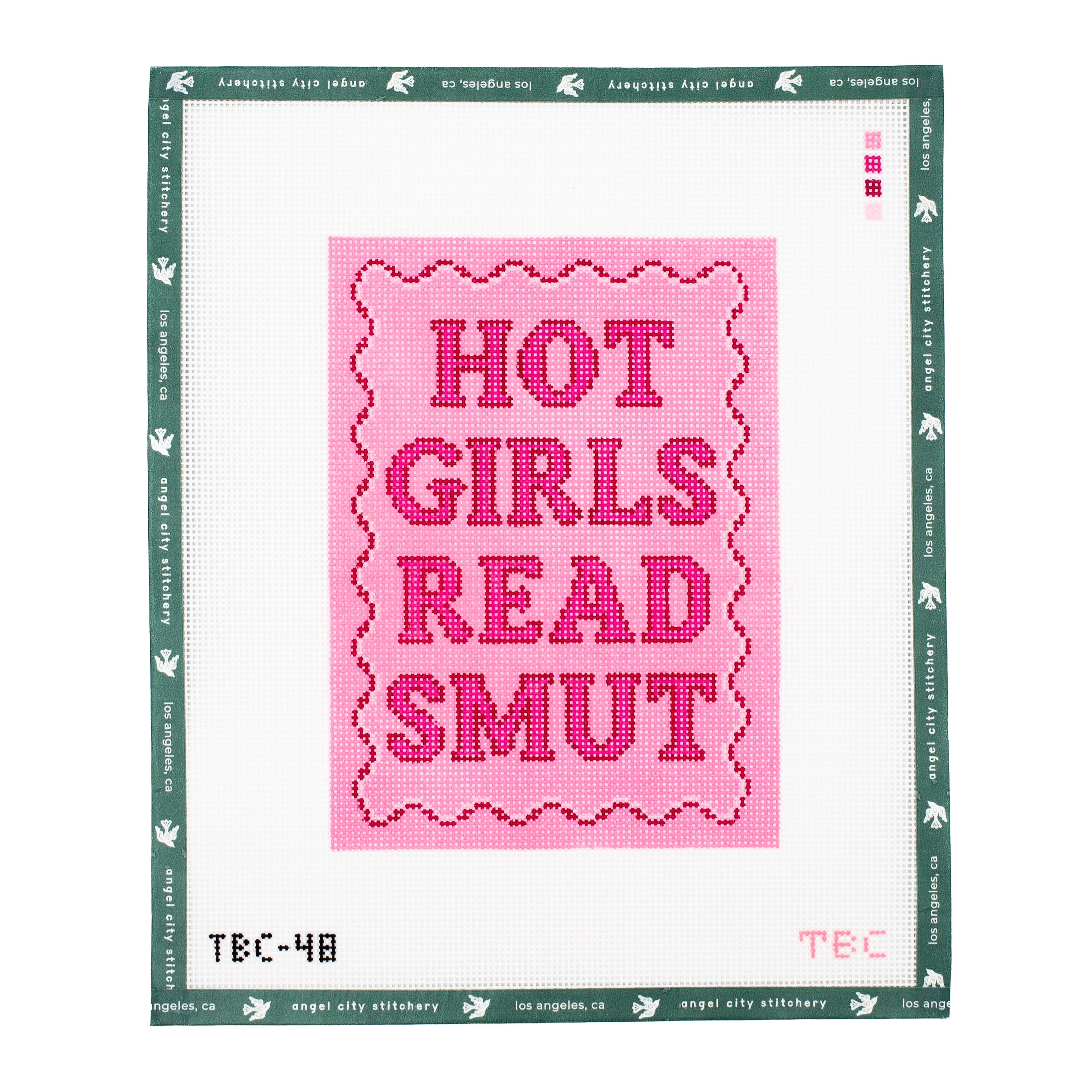 Hot Girls Read Smut Kindle Cover