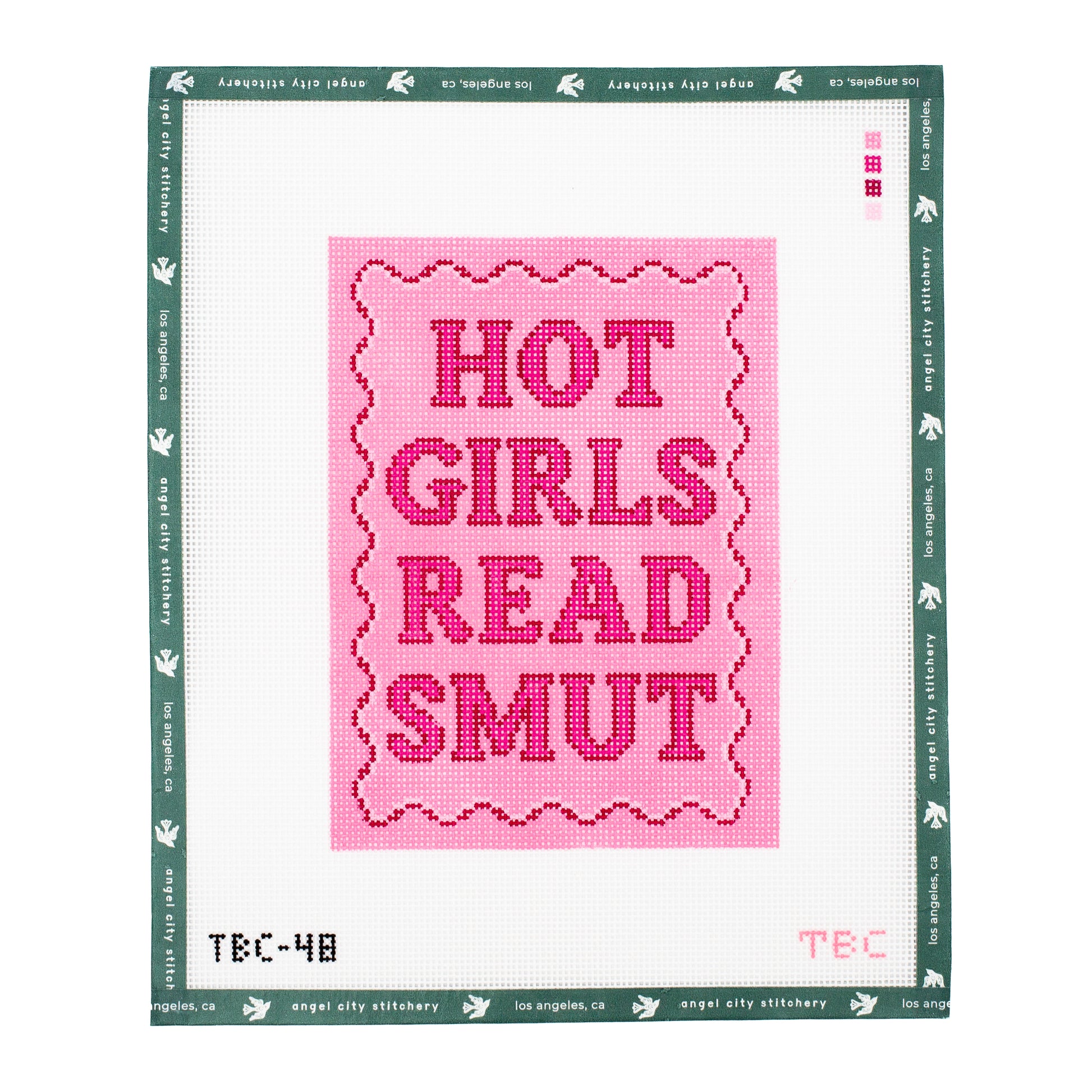 Hot Girls Read Smut Kindle Cover
