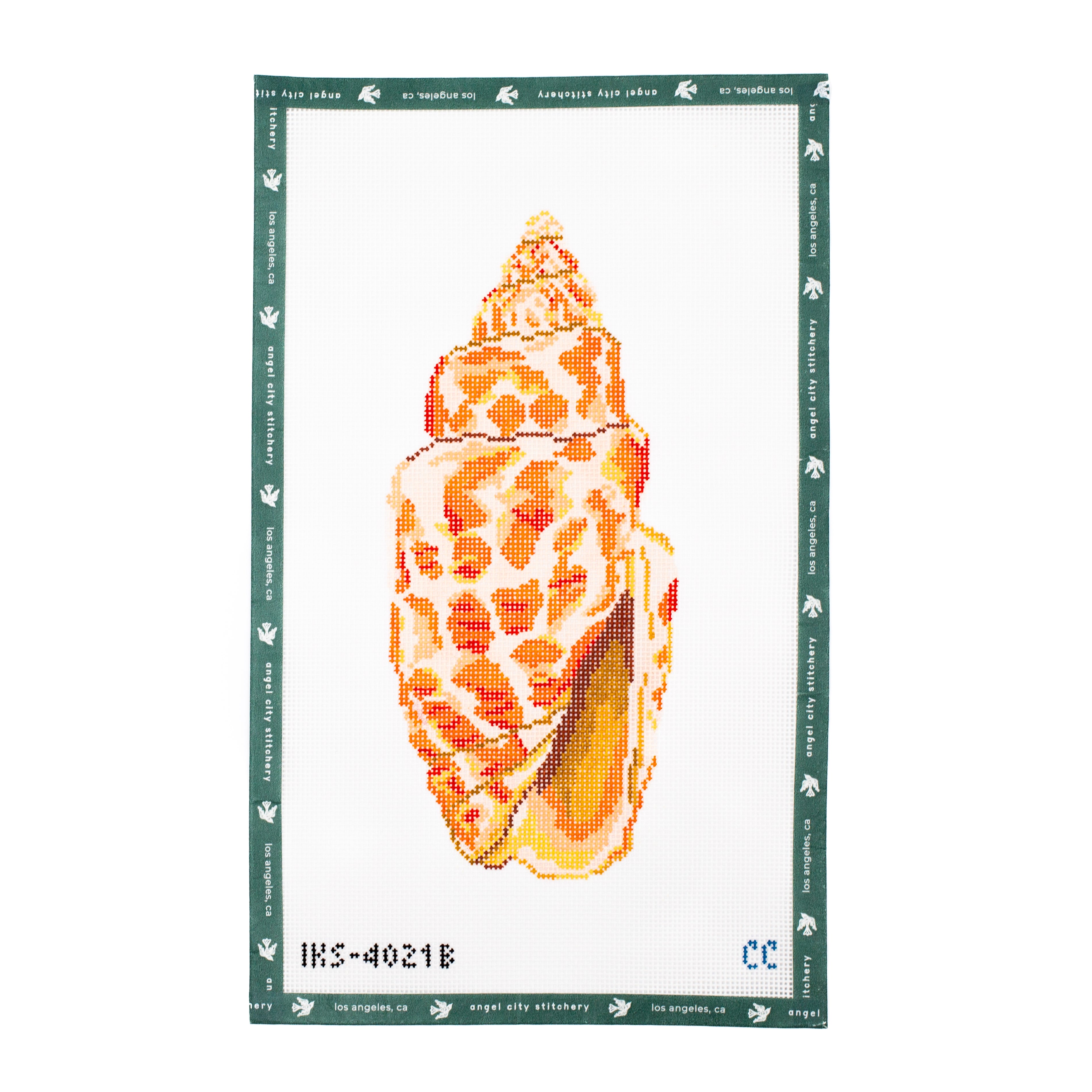 Large Miter Seashell