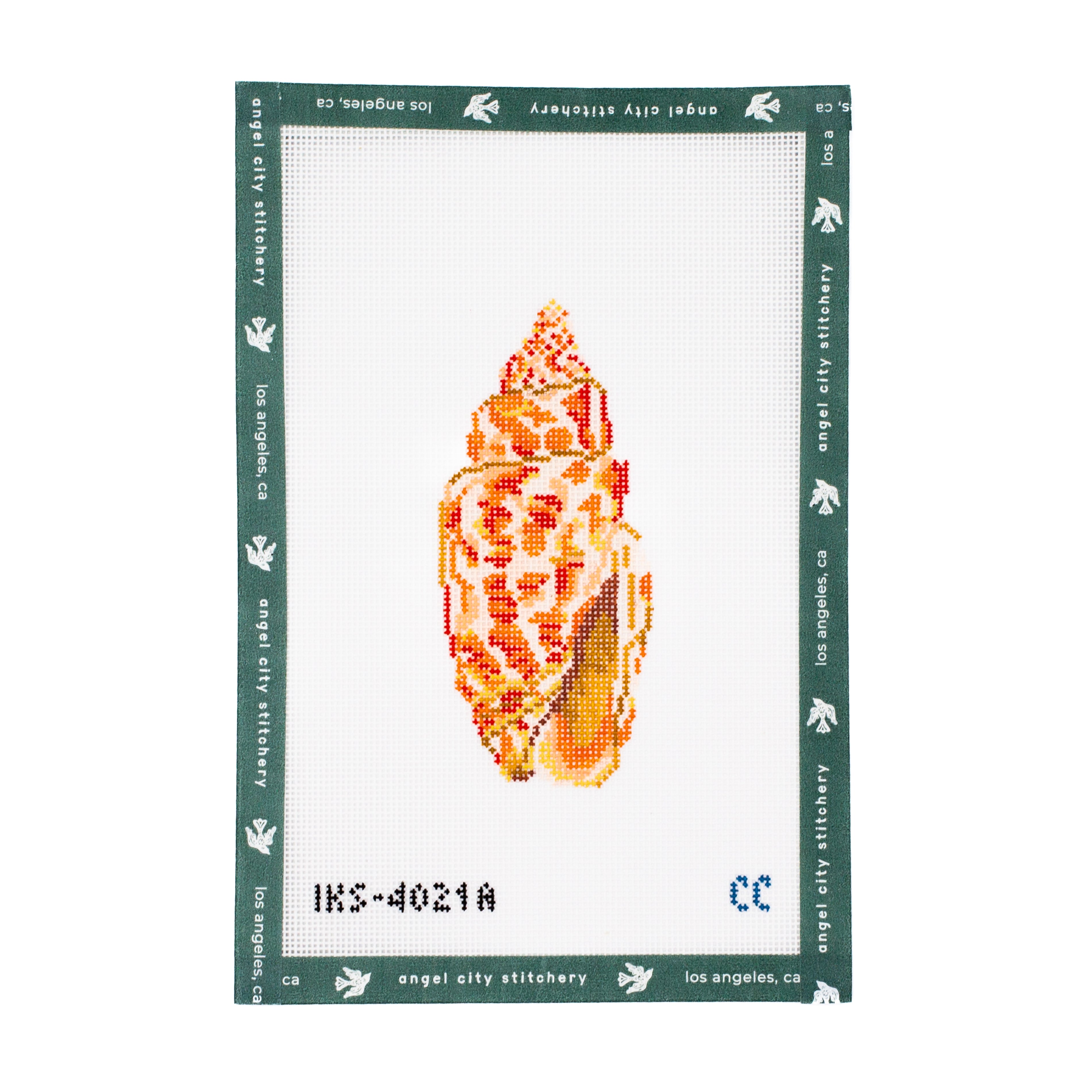 Miter Seashell
