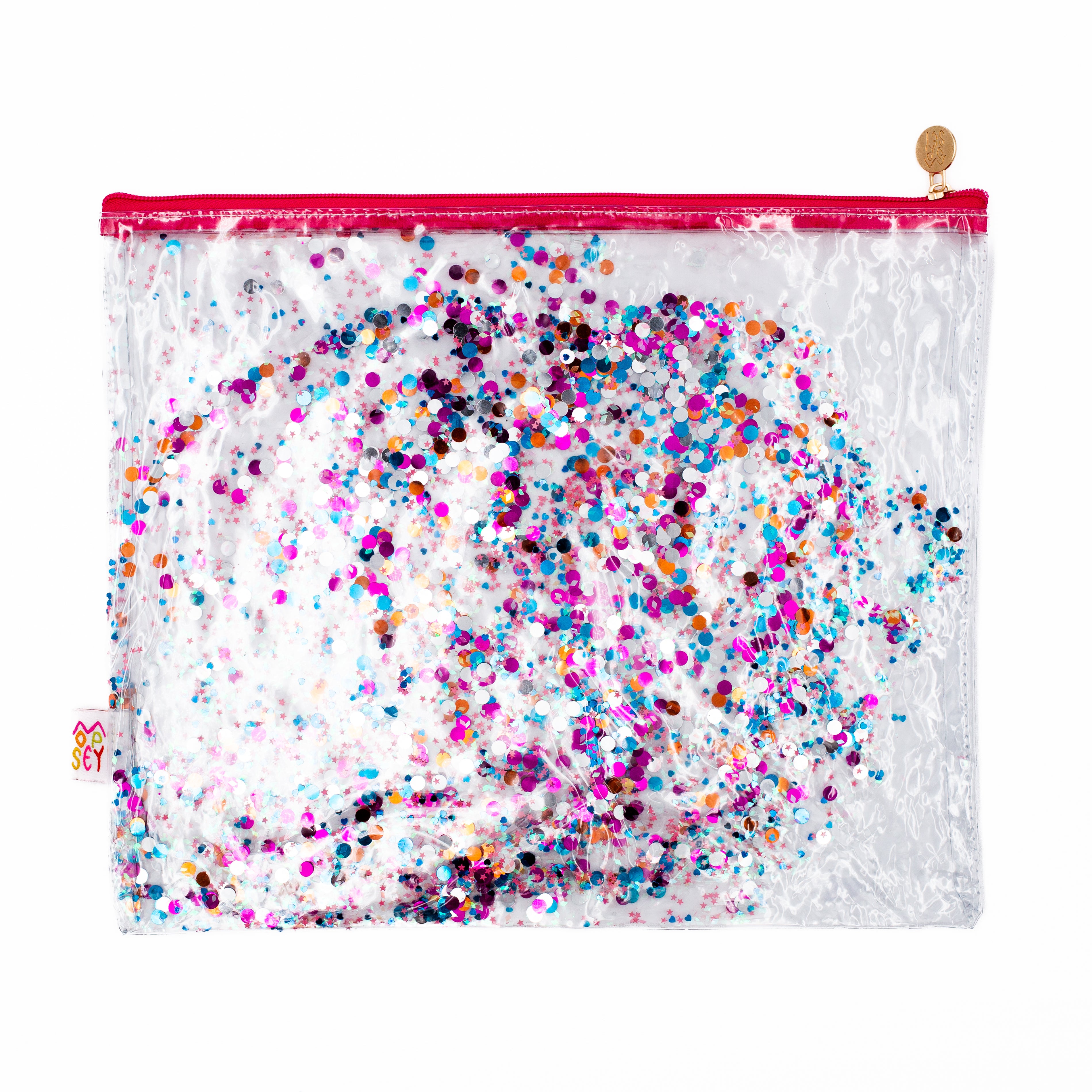 Large Glitter Project Bag