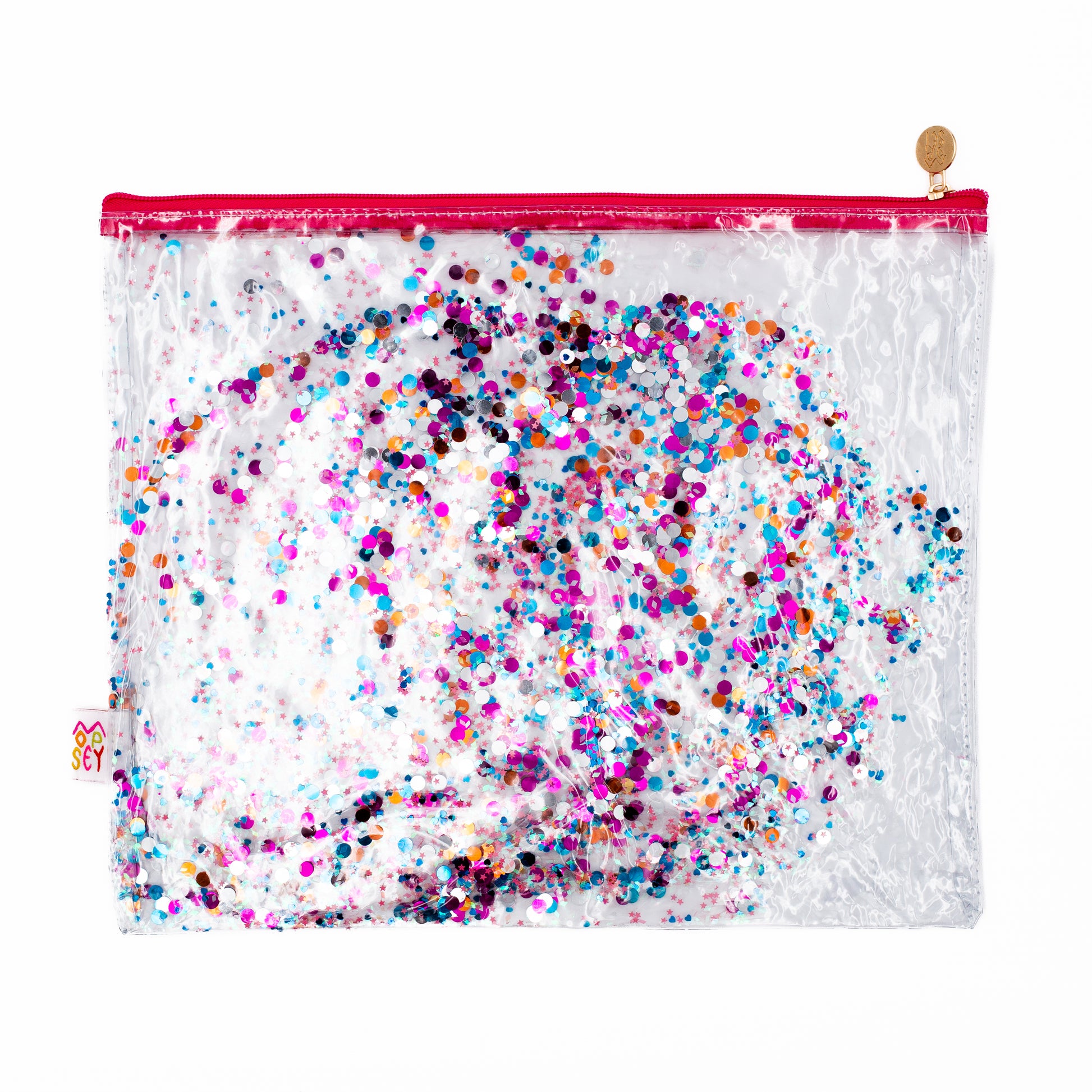 Large Glitter Project Bag