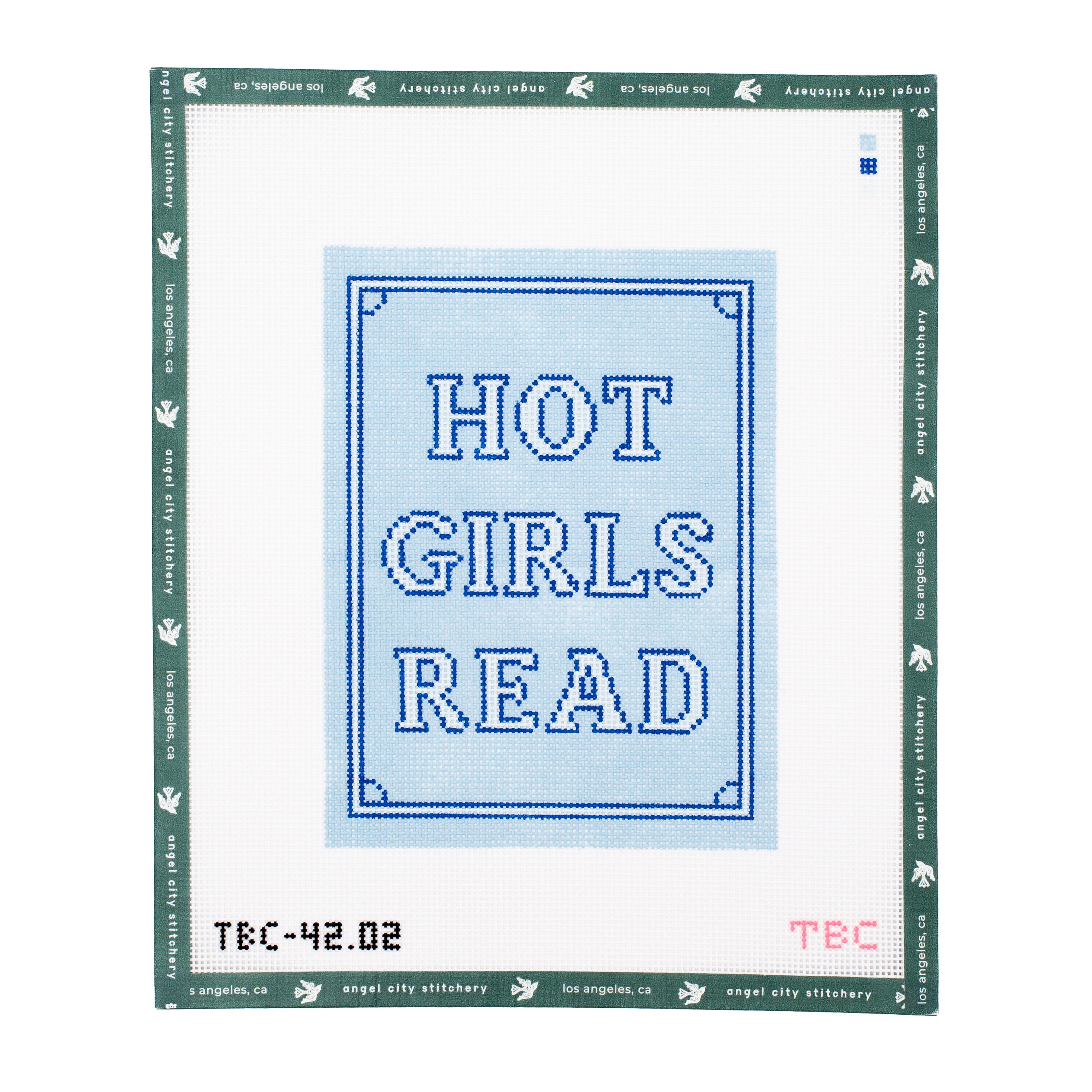 Hot Girls Read Kindle Cover (Blue)