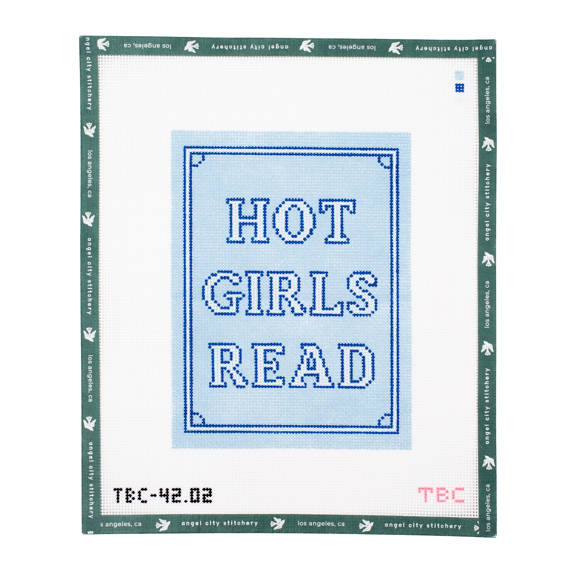 Hot Girls Read Kindle Cover (Blue)