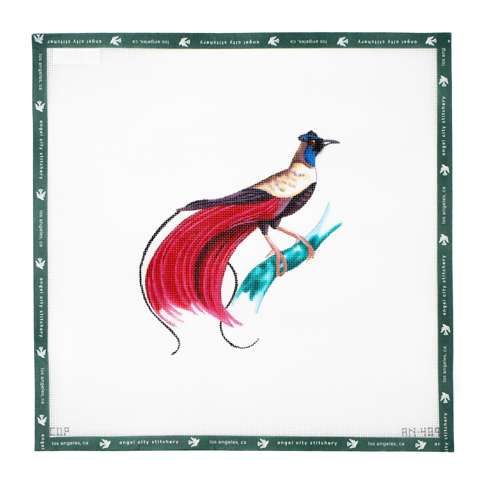 Bird of Paradise (AN489)