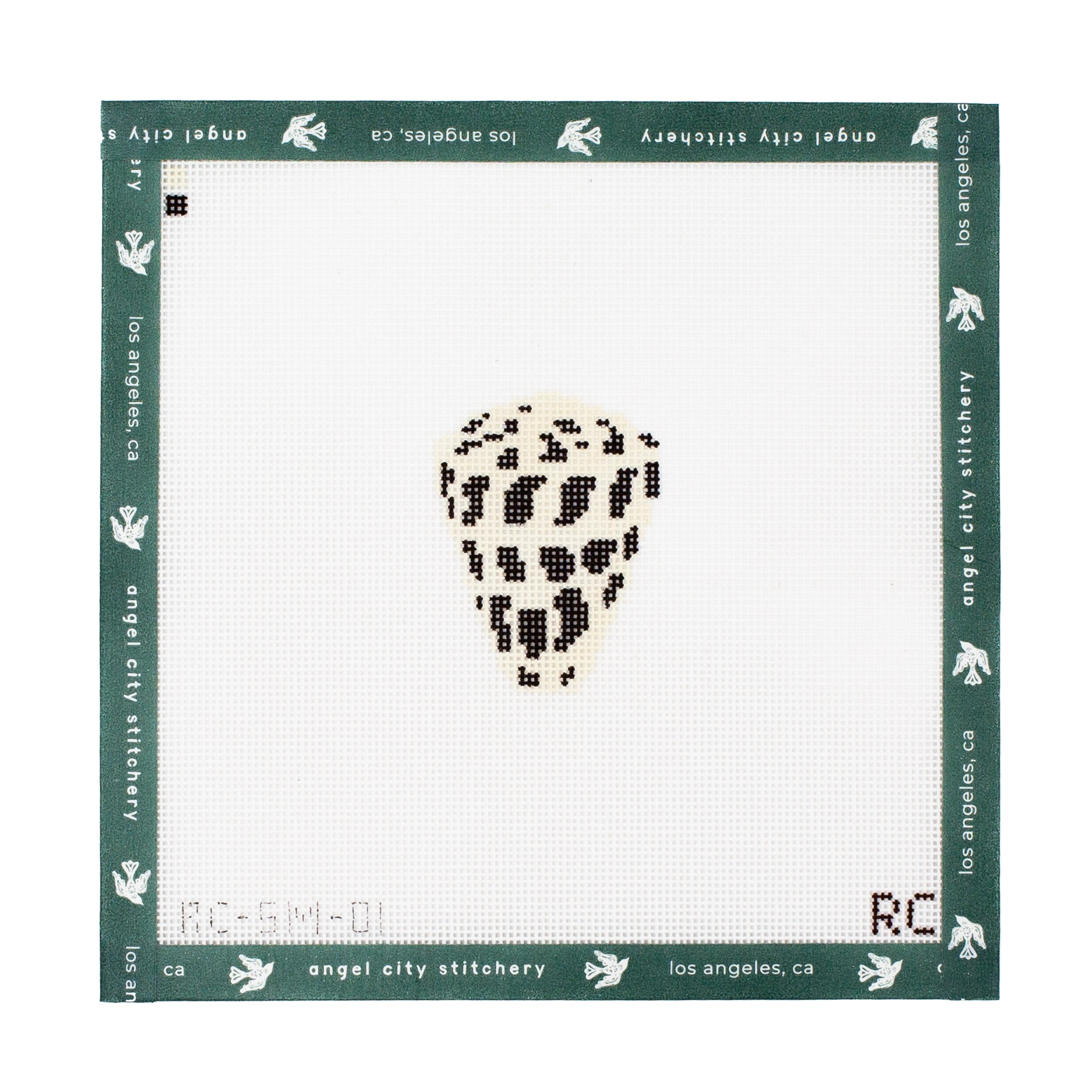 Hebrew Cone Shell Mini