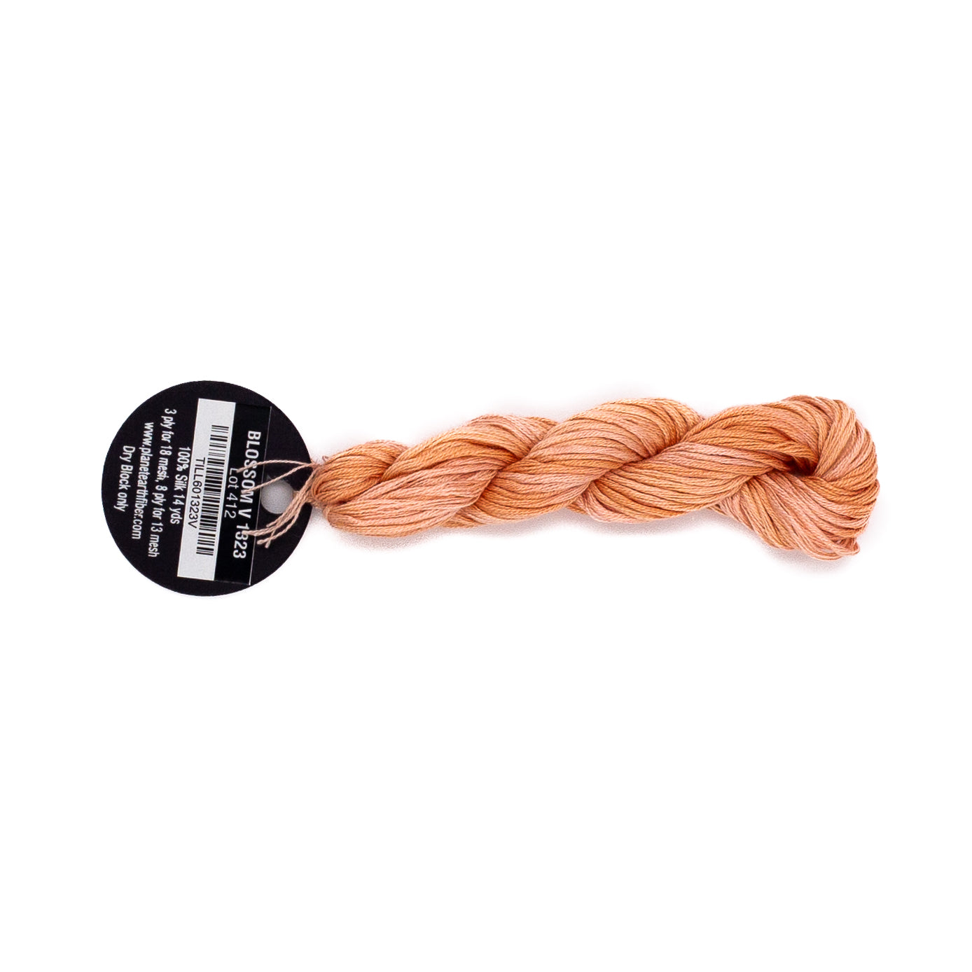 Planet Earth Silk Ply Variegated 1323V Blossom