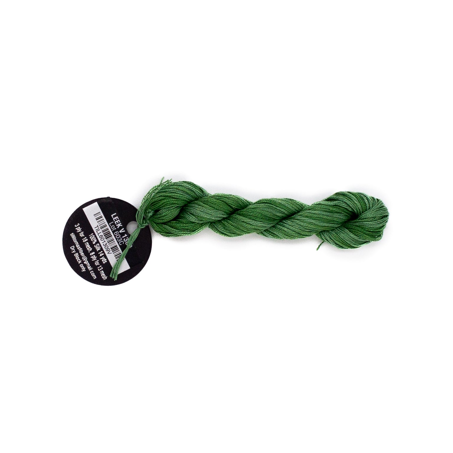 Planet Earth Silk Ply Variegated 1309V Leek