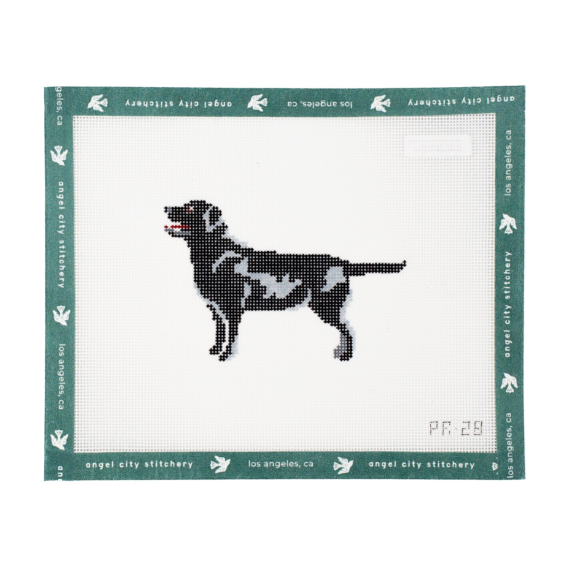Quincy Black Labrador