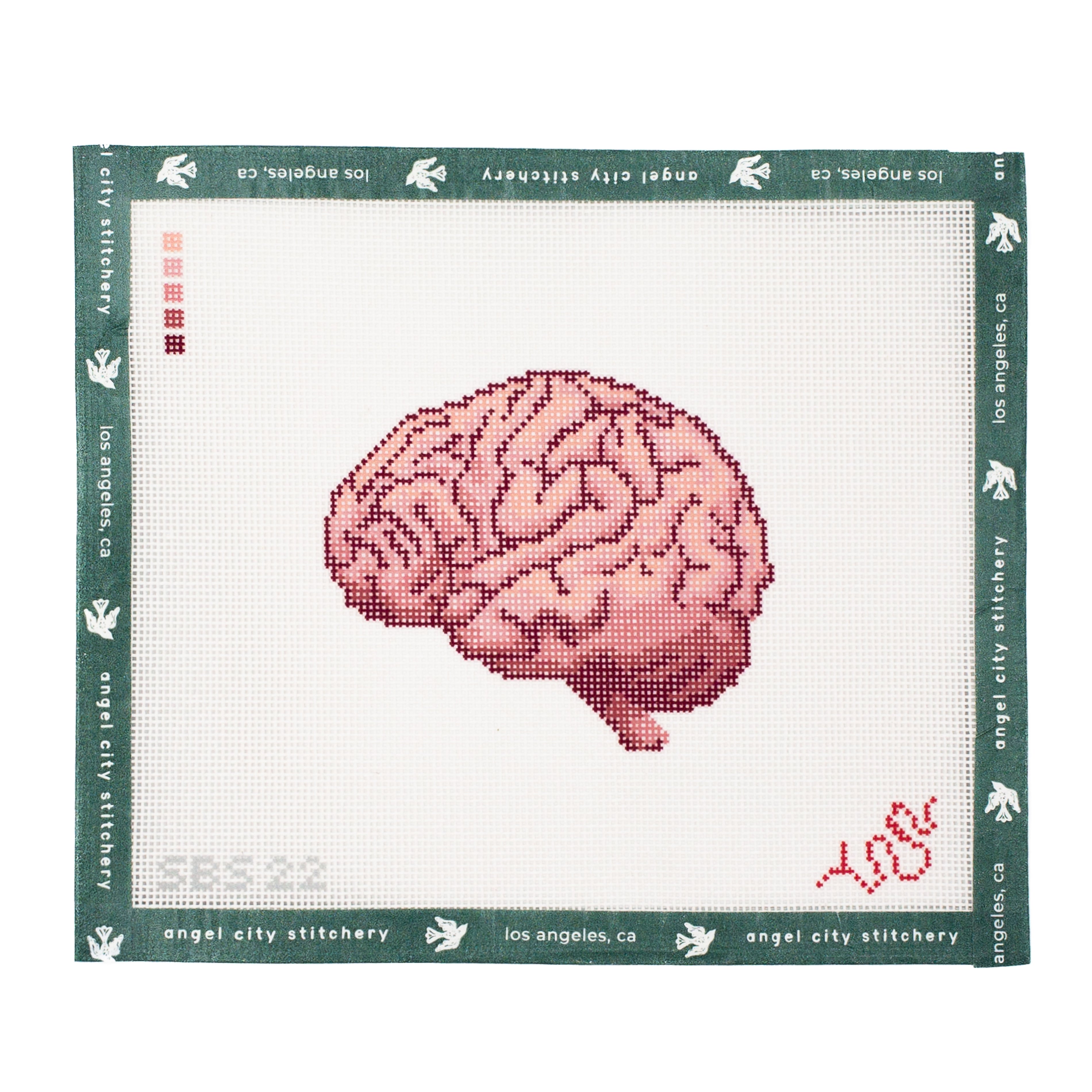 Brain (Human Anatomy Series)