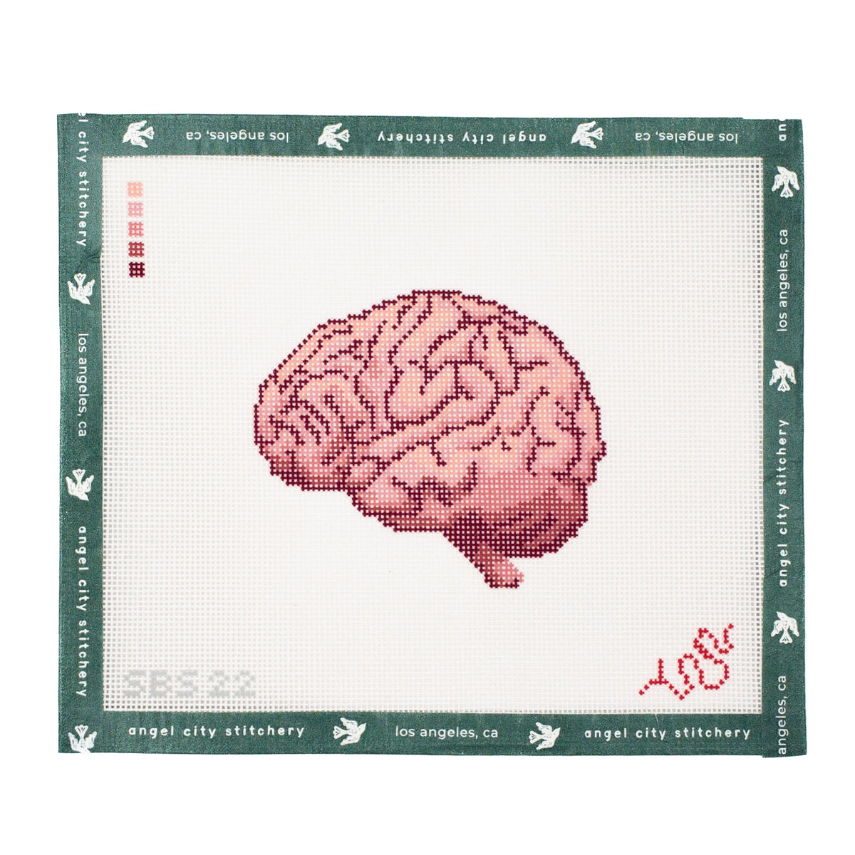 Brain (Human Anatomy Series)