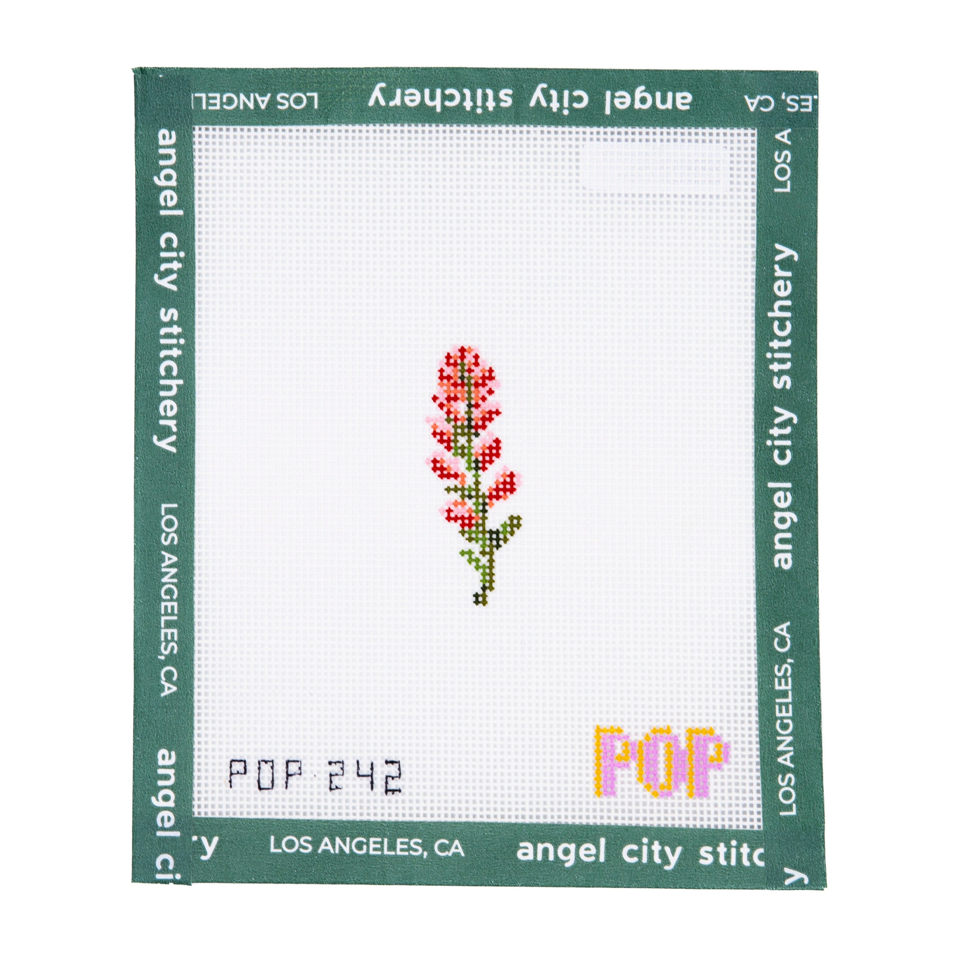 Mini Indian Paintbrush