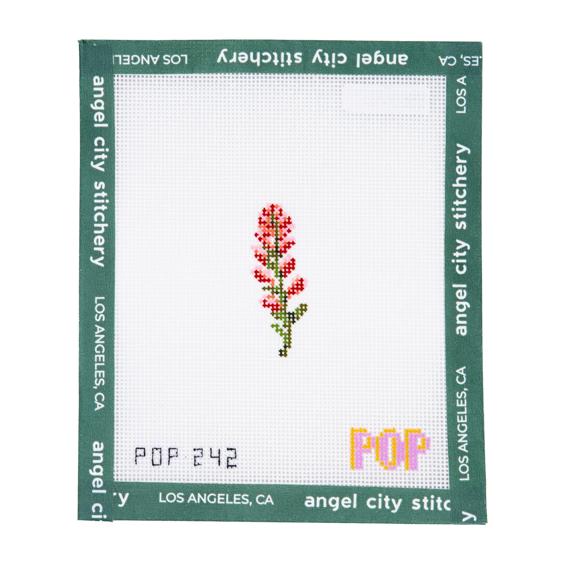 Mini Indian Paintbrush
