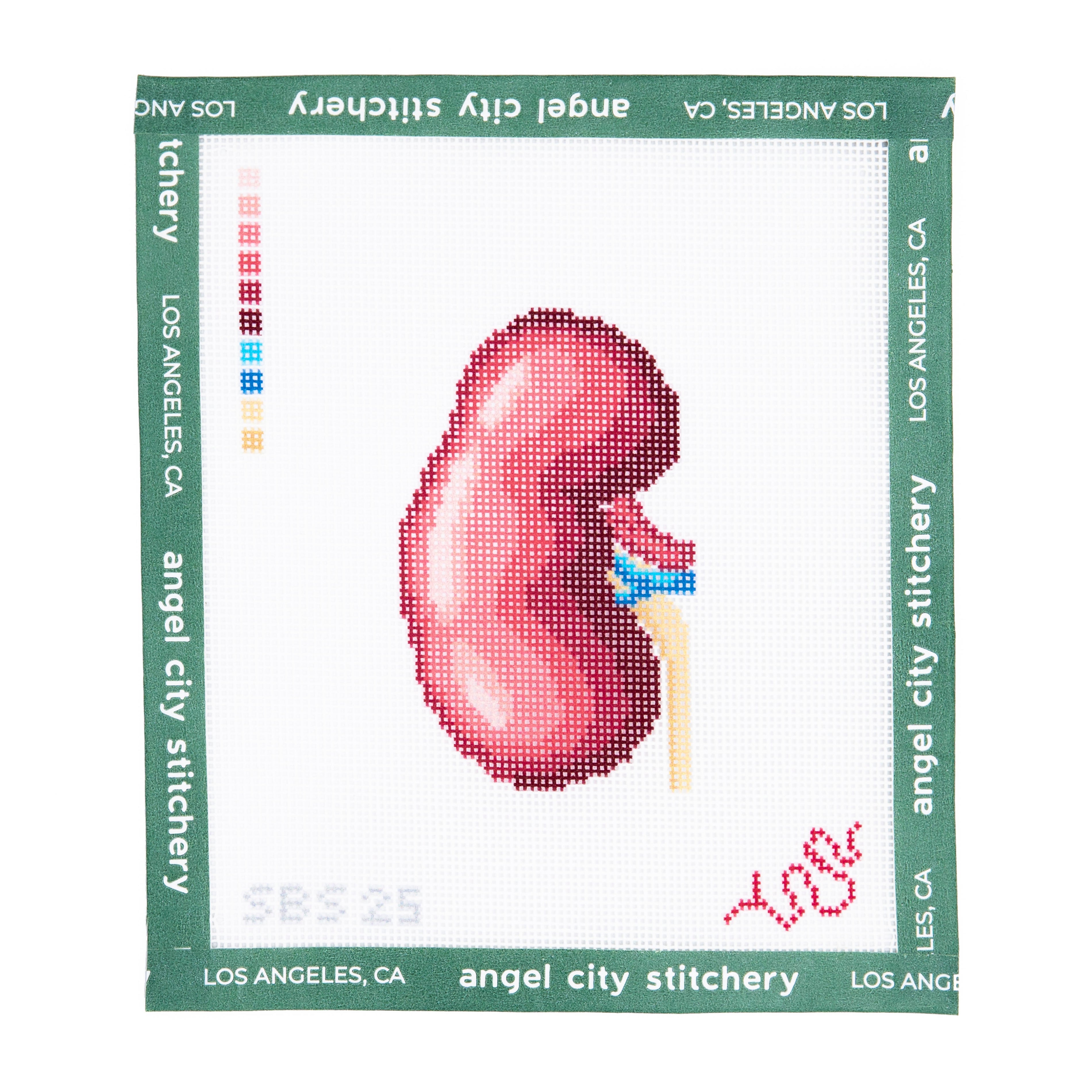 Kidney (Human Anatomy Series)