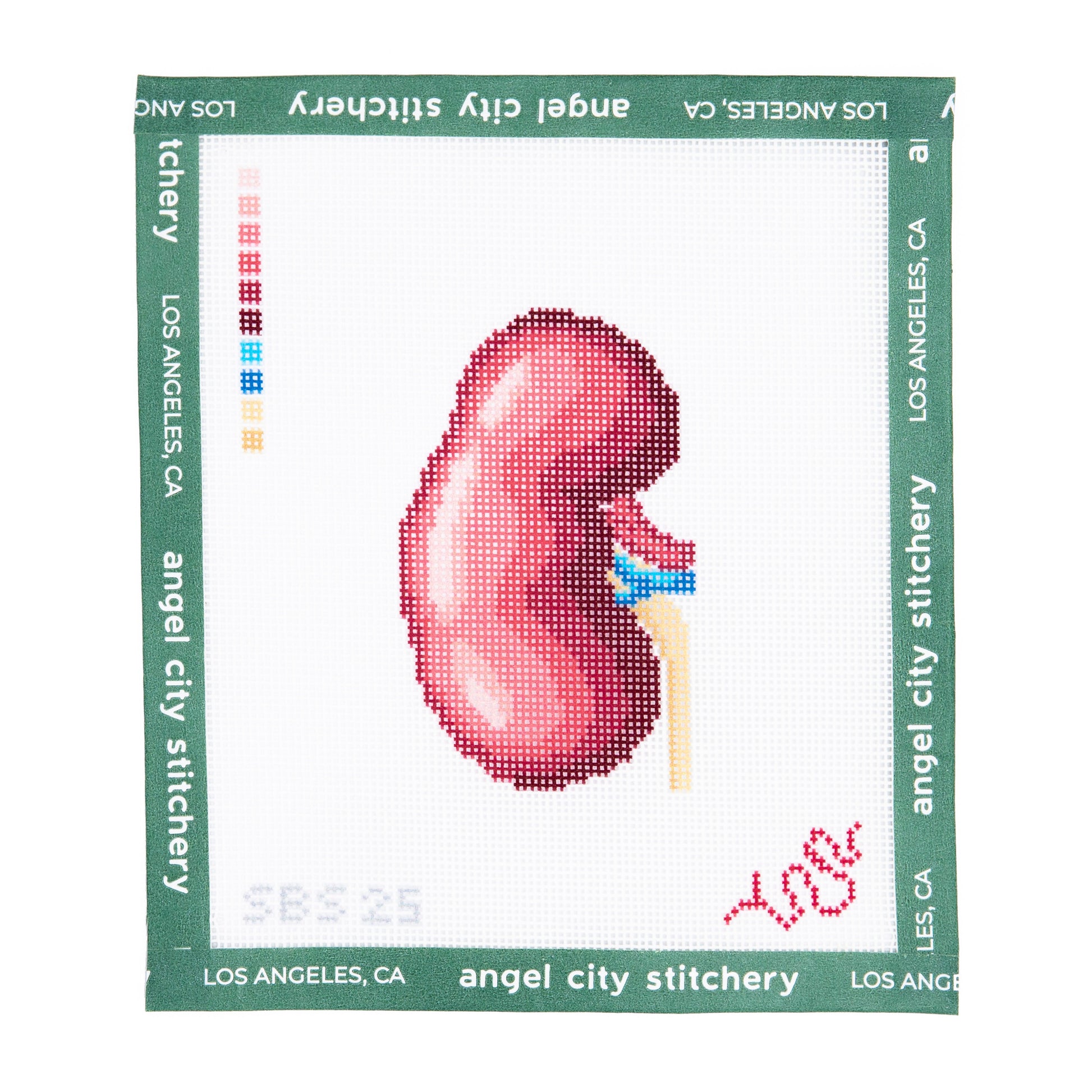 Kidney (Human Anatomy Series)
