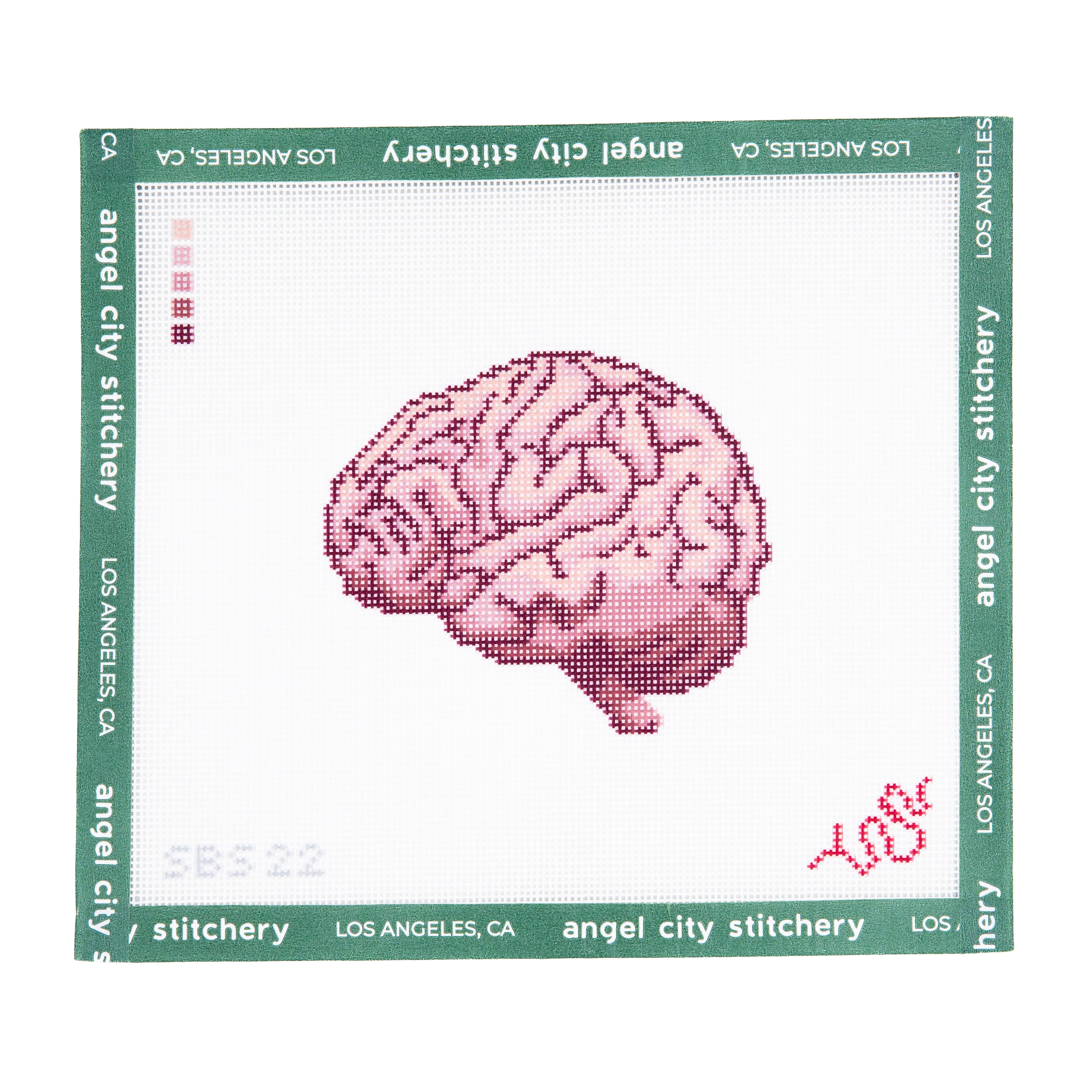 Brain (Human Anatomy Series)