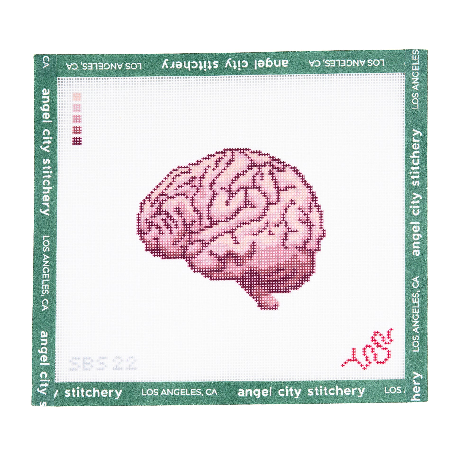 Brain (Human Anatomy Series)
