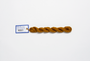 Milan - 1596 Peanut Butter — silk skein for needlepoint, 13 mesh