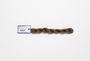 Milan - 1623 Cocoa — silk skein for needlepoint, 13 mesh