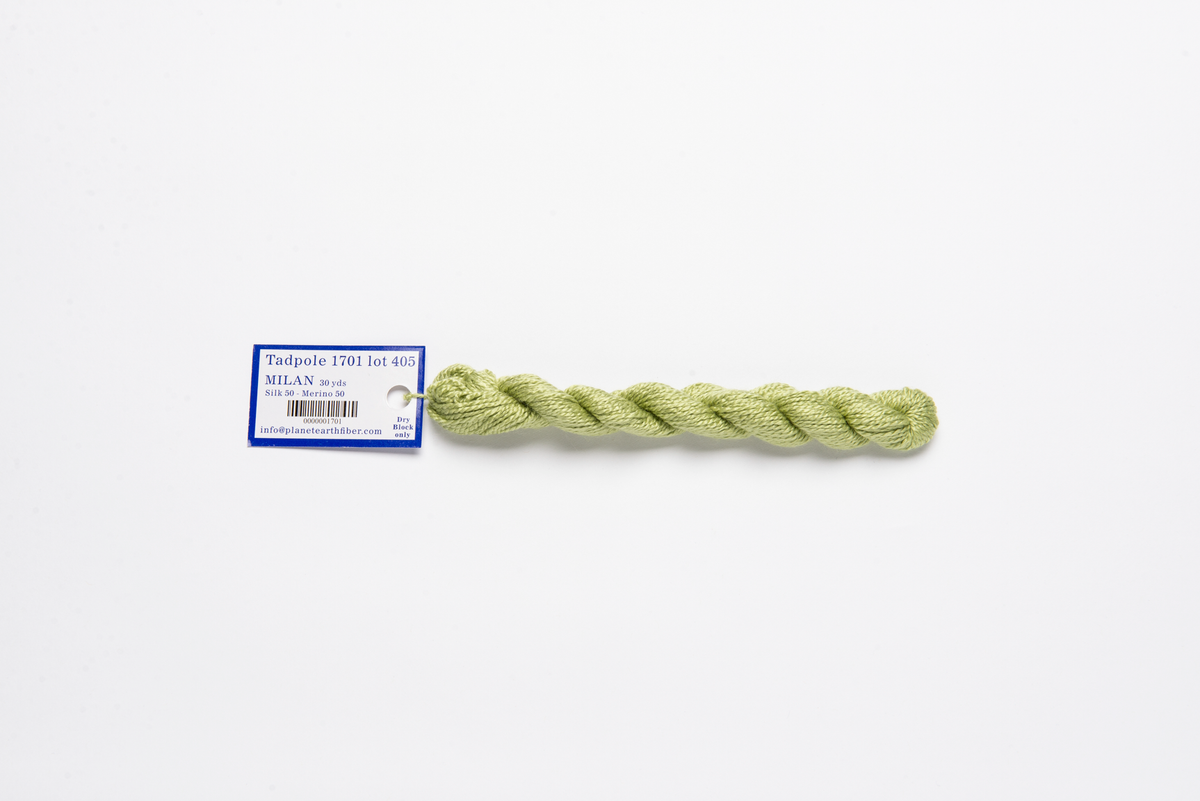 Milan - 1701 Tadpole — silk skein for needlepoint, 13 mesh