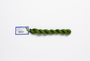 Milan - 1704 Alligator — silk skein for needlepoint, 13 mesh