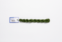 Milan - 1710 Rain Forest — silk skein for needlepoint, 13 mesh