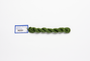 Milan - 1724 Guacamole — silk skein for needlepoint, 13 mesh