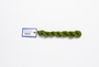 Milan - 1725 Marjoram — silk skein for needlepoint, 13 mesh