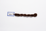 Milan - 1853 Western — silk skein for needlepoint, 13 mesh