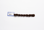 Milan - 1854 Rodeo — silk skein for needlepoint, 13 mesh