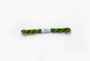 Essentials - 704 Alligator — silk skein for needlepoint, 18 mesh